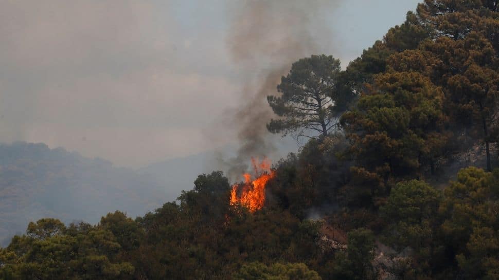 Battling the wildfire