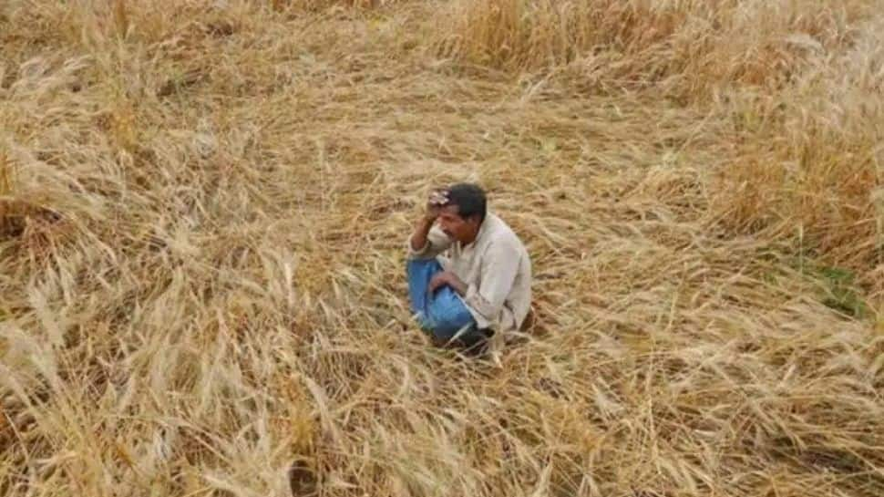 50% of rural agricultural households in debt, average loan stood at Rs 74,121 in 2019: NSO