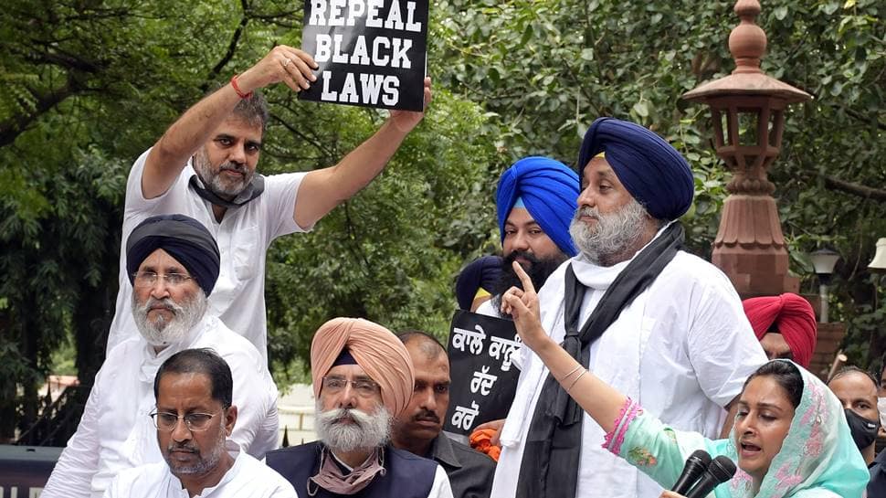 SAD takes out protest march against farm laws in Delhi, top leaders detained briefly