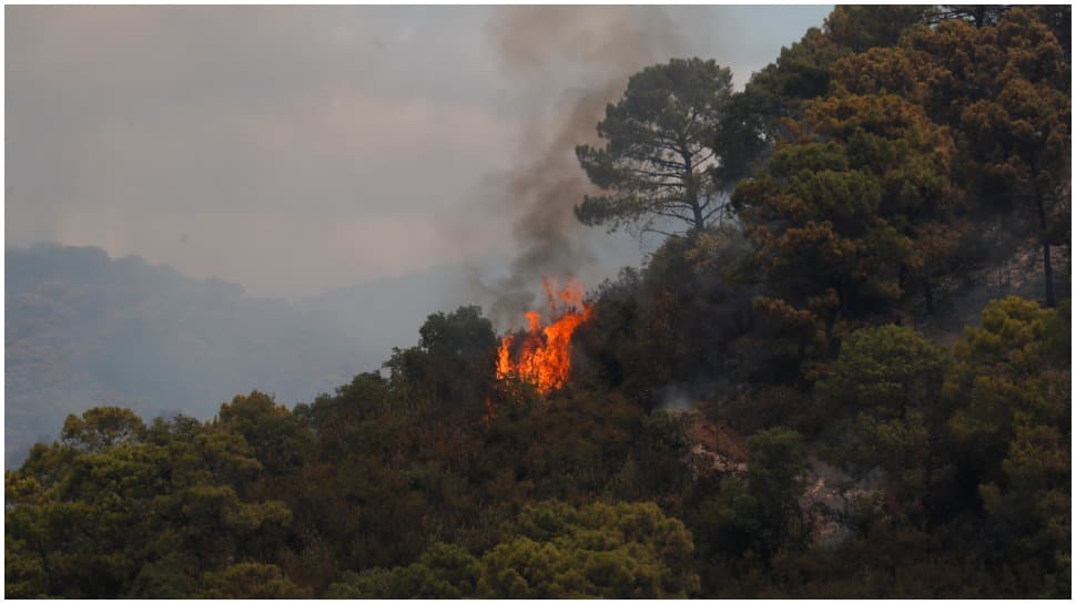 Wildfires surrounding California spread to nearly 40K acres, threaten world&#039;s largest trees