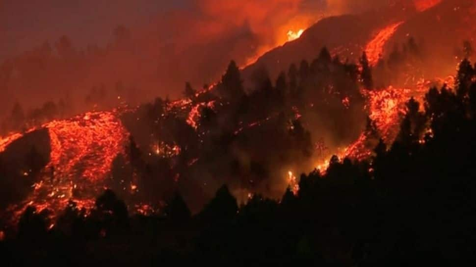 “Stay in your homes,” warns Canary Islands President