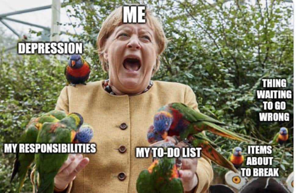 Angela Merkel's bird picture used as meme