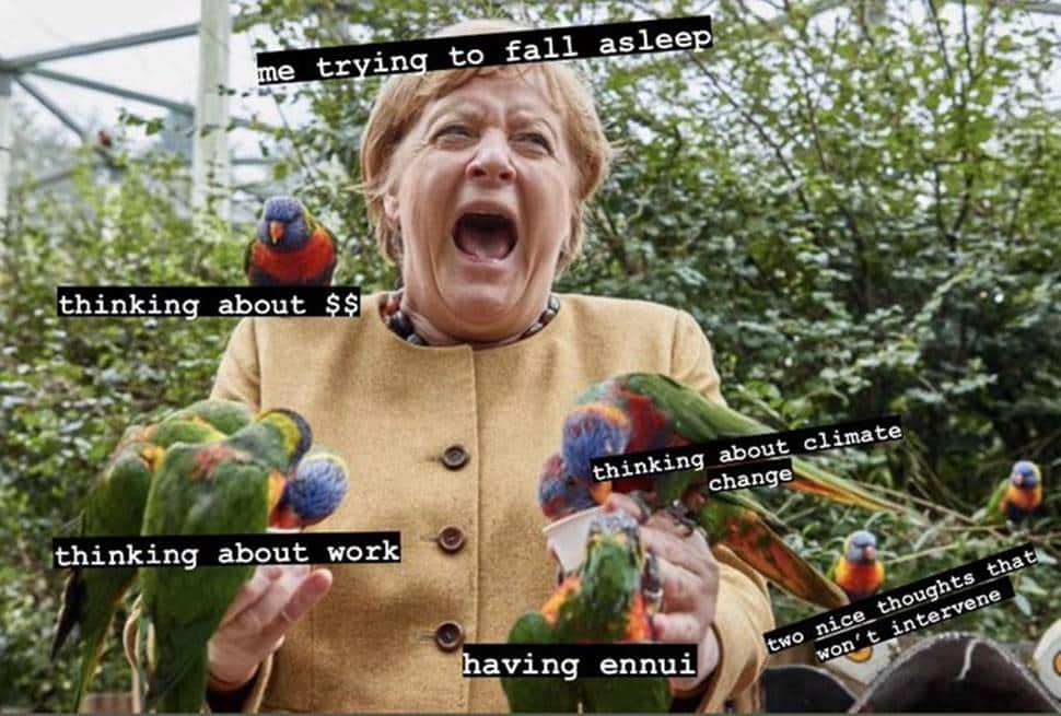 Angela Merkel's bird picture becomes popular meme