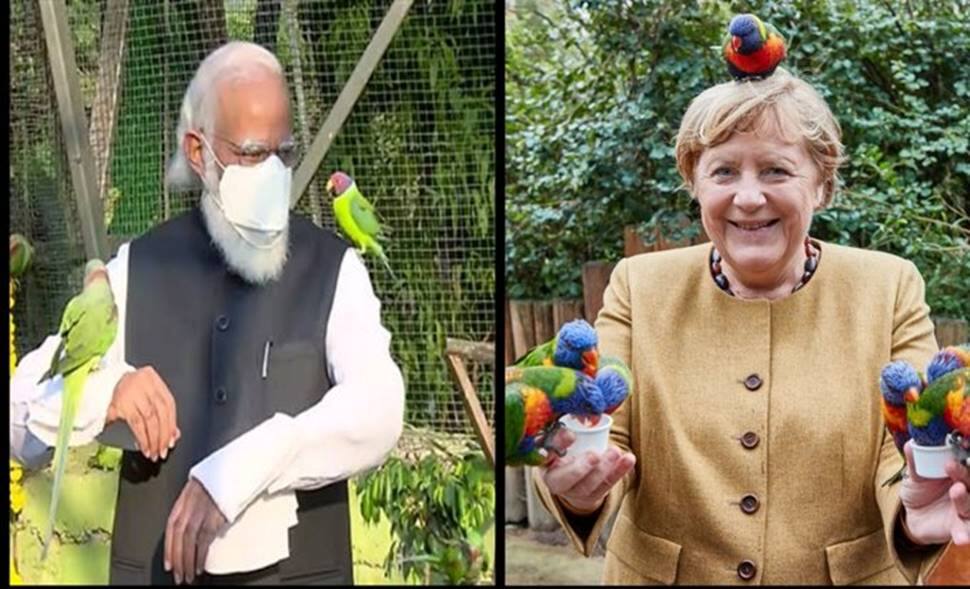 Angela Merkel with birds or PM Modi