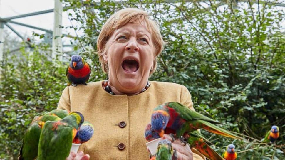 Angela Merkel bit by birds 