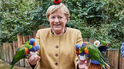 Angela Merkel's birds memes