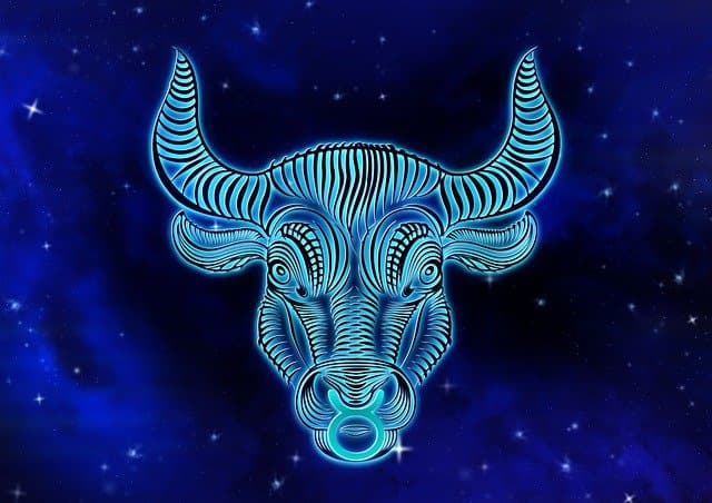  Taurus