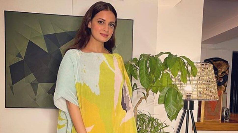 Dia Mirza's reply to netizen asking 'how much did you charge' for Global Citizen event wins hearts!