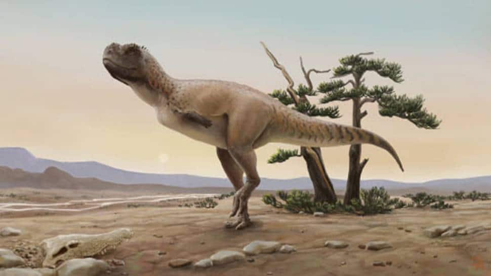 New dinosaur species found in Brazil, roamed earth 70 million years ago
