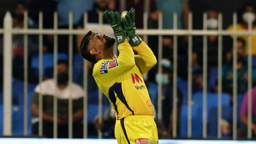 Chennai Super Kings skipper MS Dhoni takes a catch against Sunrisers Hyderabad in their IPL 2021 match in Sharjah. (Photo: ANI)