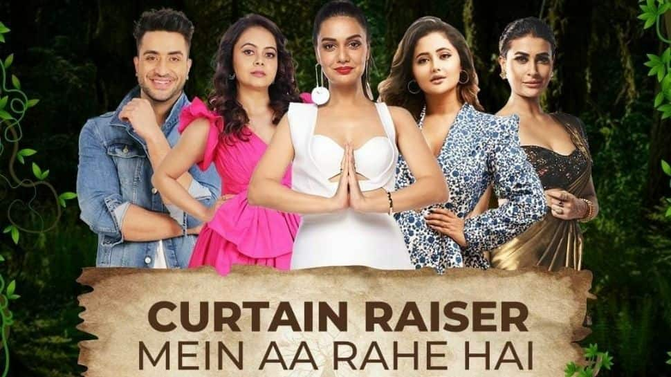 Bigg Boss 15: Divya Agarwal to host curtain raiser, Aly Goni, Rashami Desai among others to join too!