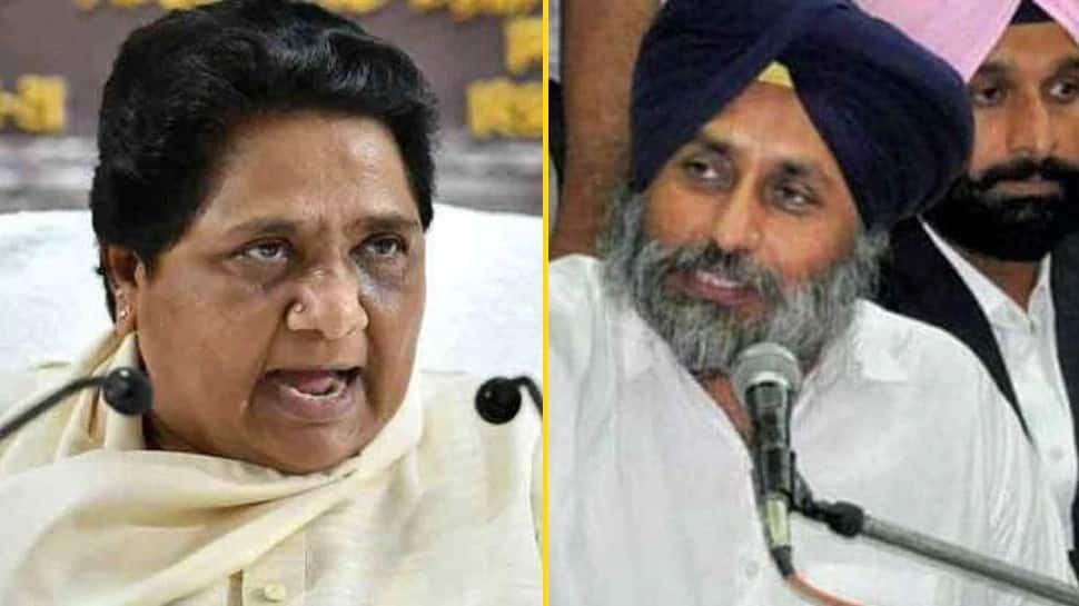 All is not well in newly formed SAD-BSP coalition, friction over seat-sharing, leadership