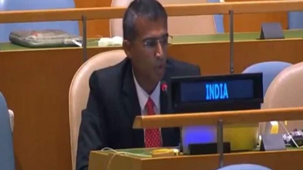 Pakistan talks about peace but glorifies terrorists like Laden as martyrs: India at UN