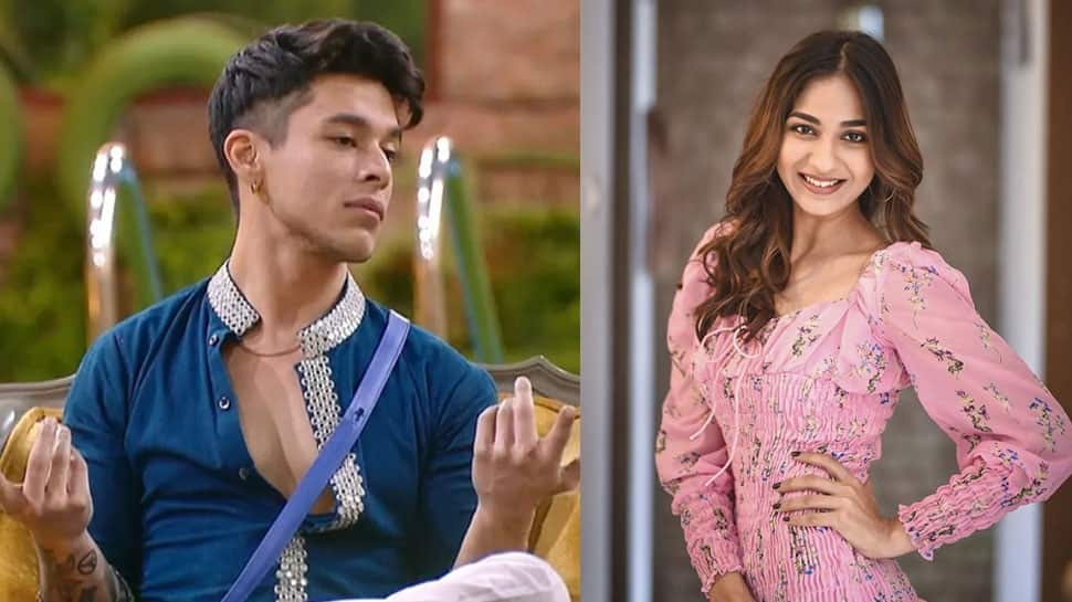 Bigg Boss 15: Pratik Sehajpal in trouble for unscrewing bathroom lock while Vidhi Pandya was taking shower!