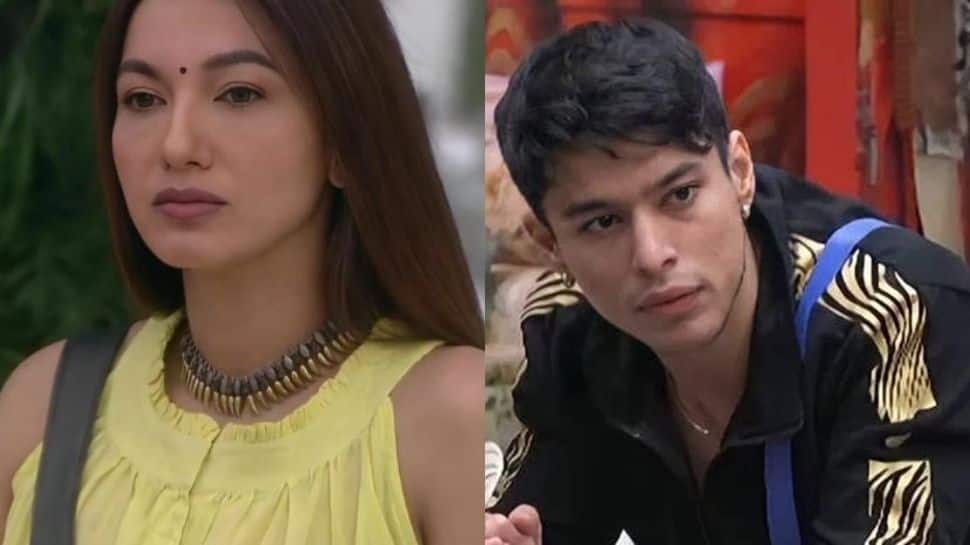 Gauahar Khan comes out in support of Pratik Sehajpal post Salman's episode