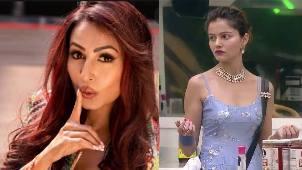 Kashmera Shah&#039;s indirect jibe hits Rubina Dilaik, ex Bigg Boss star rejects her &#039;fake love&#039;!