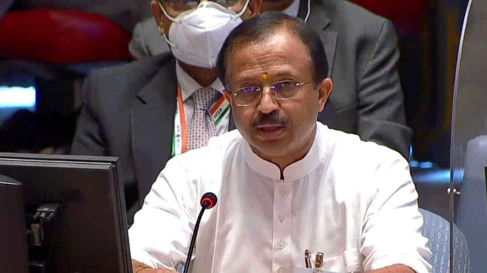 Increasing spread of terrorism in Africa is a matter of serious concern: India at UNSC