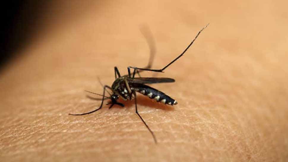 Delhi witnesses big surge in dengue cases caused by prolonged monsoon period