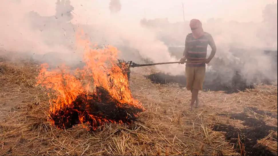 Farmers in Punjab&#039;s Bathinda burn stubble, say not left with any other choice