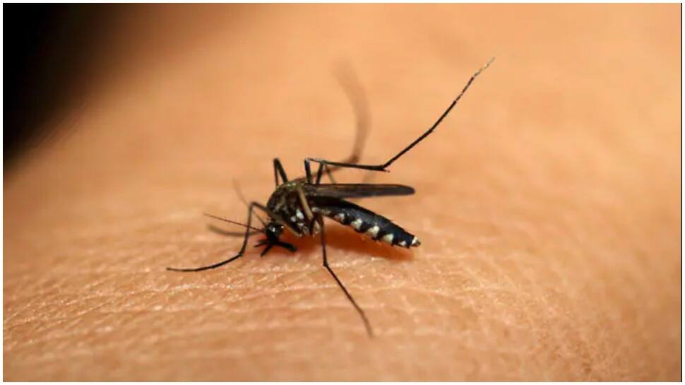 1st death due to dengue reported in Delhi this year, 723 total cases