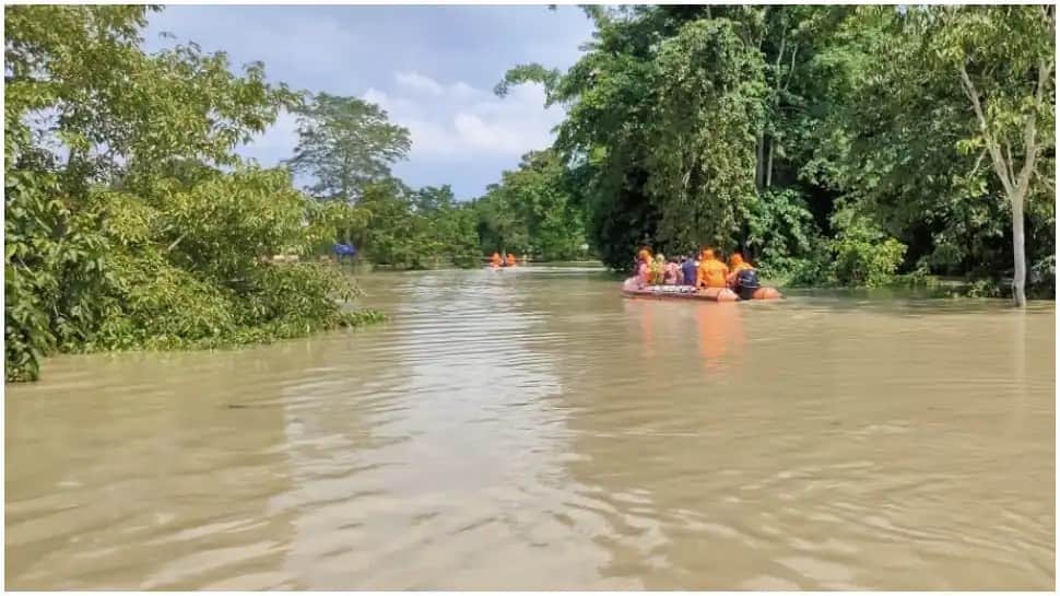 Uttarakhand rains: Five tourists die in Bageshwar district, one missing