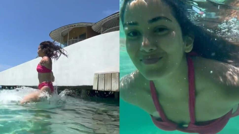 Mira Rajput dives into ocean in stunning pink bikini, gets her dose of &#039;Vitamin Sea&#039; - Watch