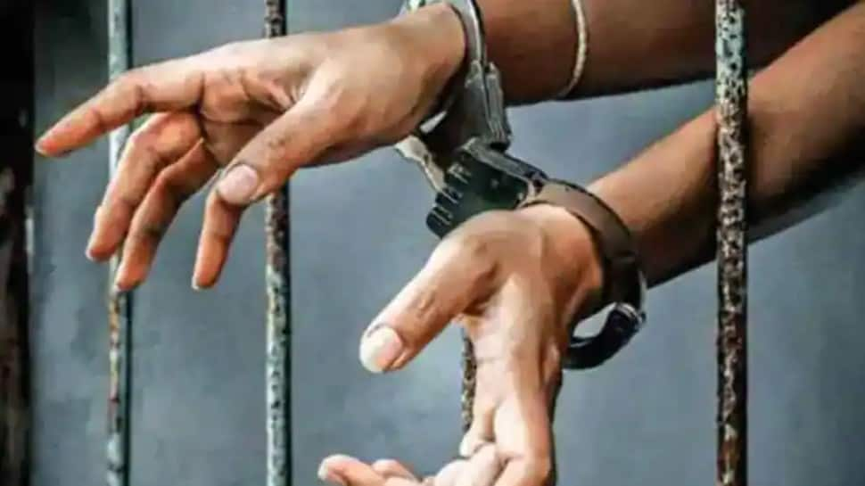 Two Hizbul terrorists get 12-year sentence, two others get 10 years