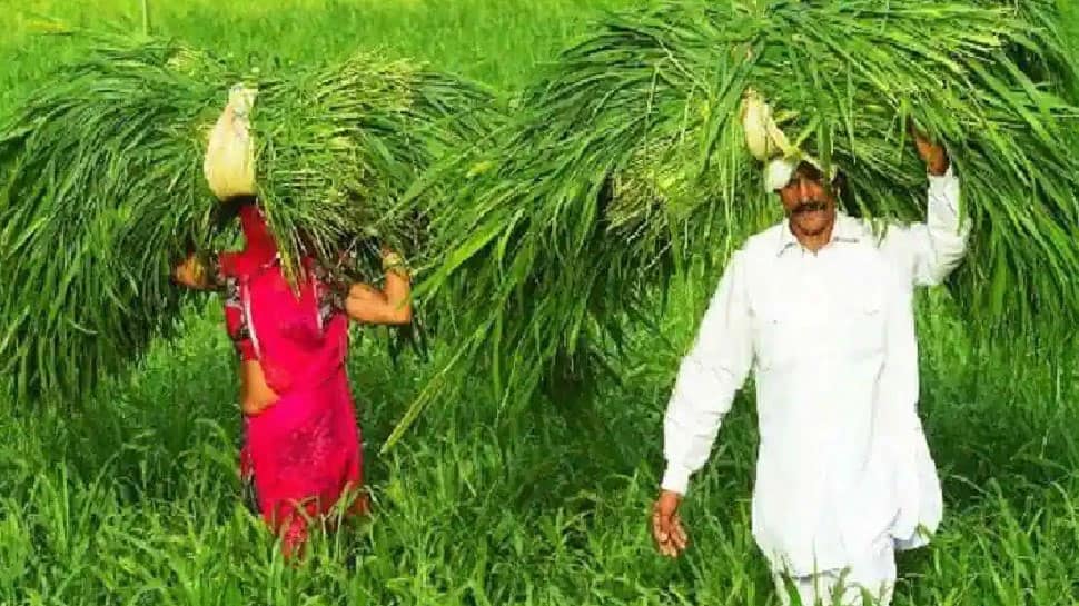 PM KISAN Scheme documents rules changed, know what to do for registration to reap Rs 6,000 yearly benefits
