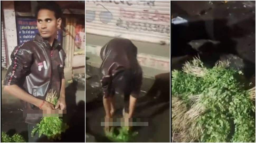 Bhopal vegetable vendor booked for washing coriander leaves in drain water - Watch