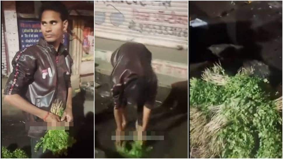 Bhopal vegetable vendor booked for washing coriander leaves in drain water - Watch - Vimarsana News