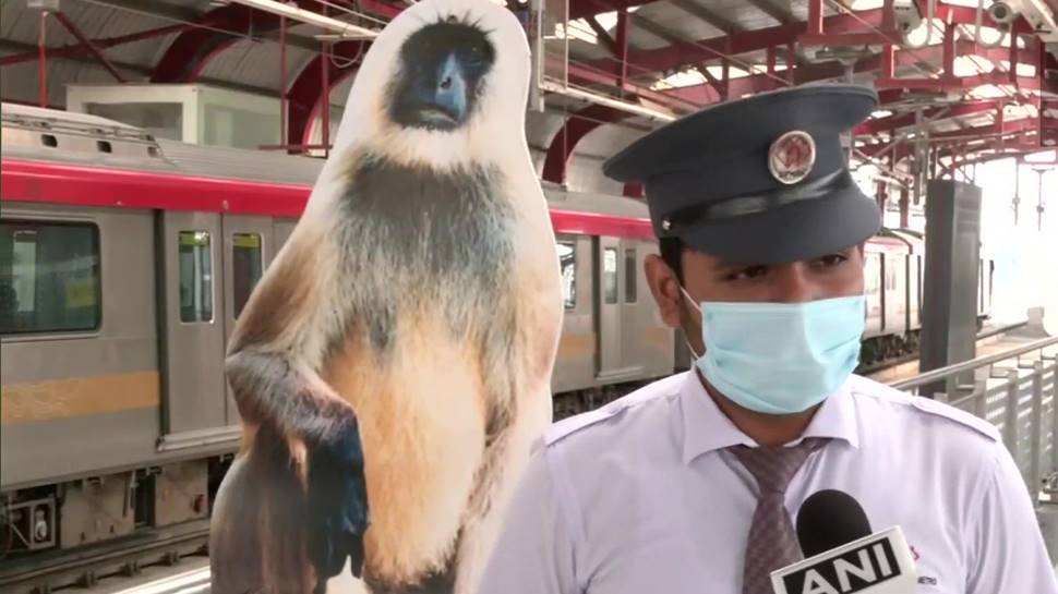 Monkey menace at Lucknow Metro! Authorities use cutouts, angry langur sounds to keep them at bay