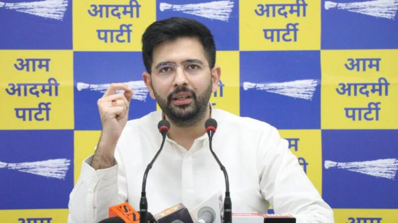 Punjab CM Charanjit Channi was terrified by Arvind Kejriwal&#039;s Bijli Guarantee: Raghav Chadha