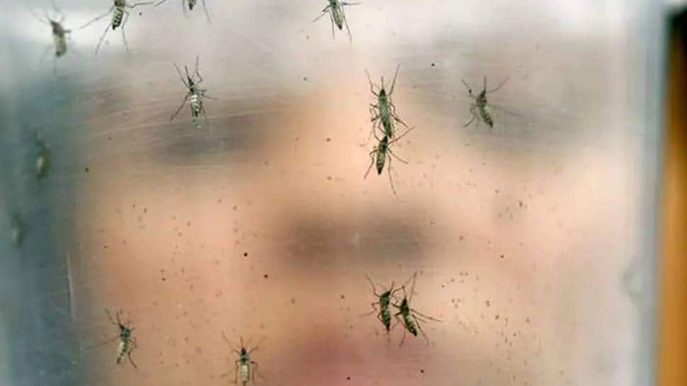 6 IAF personnel among 25 new cases of Zika virus, total tally touches 36