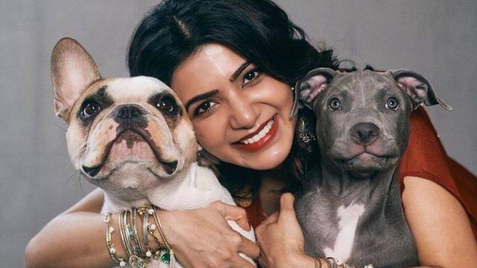 Samantha Ruth Prabhu celebrates Diwali with her furry friends post divorce from Naga Chaitanya