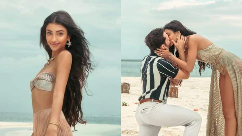 Sepupu Ananya Panday Alanna Panday bertunangan dengan pacar Ivor, foto lamaran pantai pasangan menjadi viral!  |  Berita Orang
