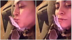 Bizarre! Woman cuddles with pet snake, leaves internet amazed- Watch