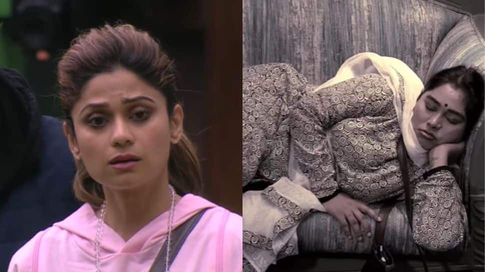 Bigg Boss 15 Day 37 written update: Housemates lose ration items after Afsana Khan sleeps during task!