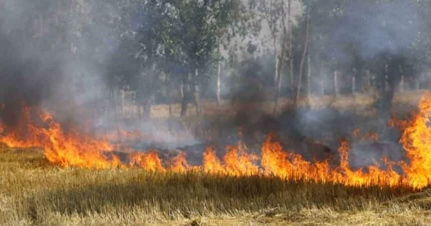  Why air quality has deteriorated sharply in Delhi, check reasons here  