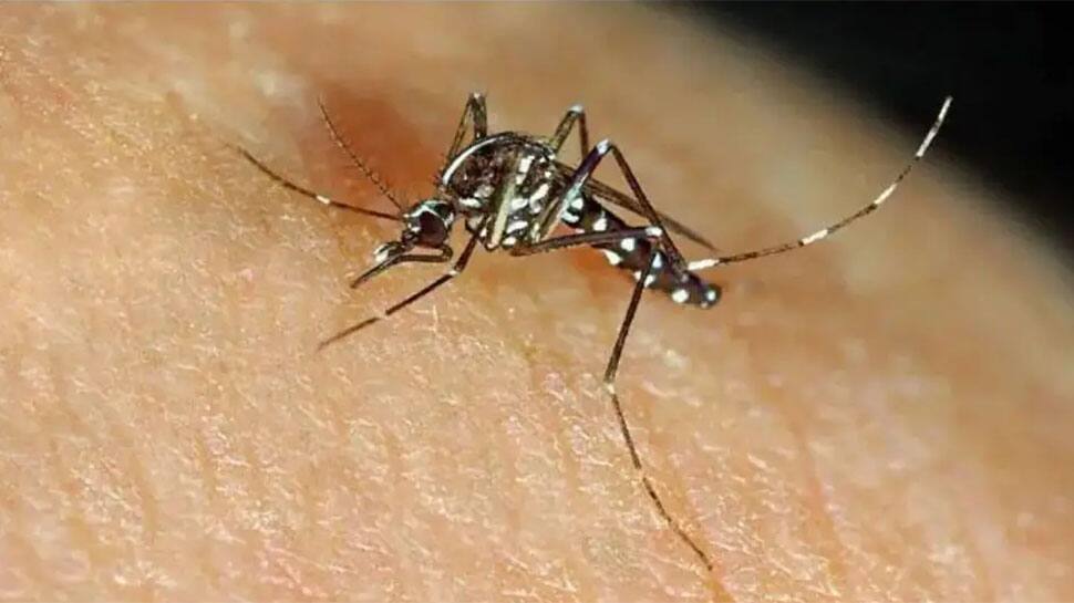 Kanpur reports 123 Zika virus cases 