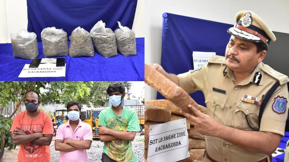 Telangana Police seize 1,240 kg Marijuana worth over Rs 2 crore, three held