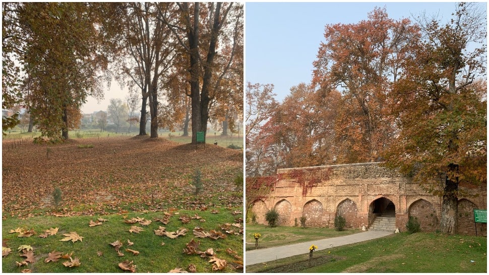 Tourists throng Kashmir as autumn turns the Valley red 