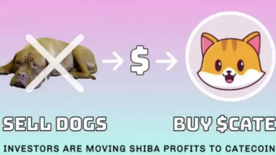 Catecoin Aims to Overtake Rivals Shiba Inu, Doge with Superior Tokenomics &amp; Utility