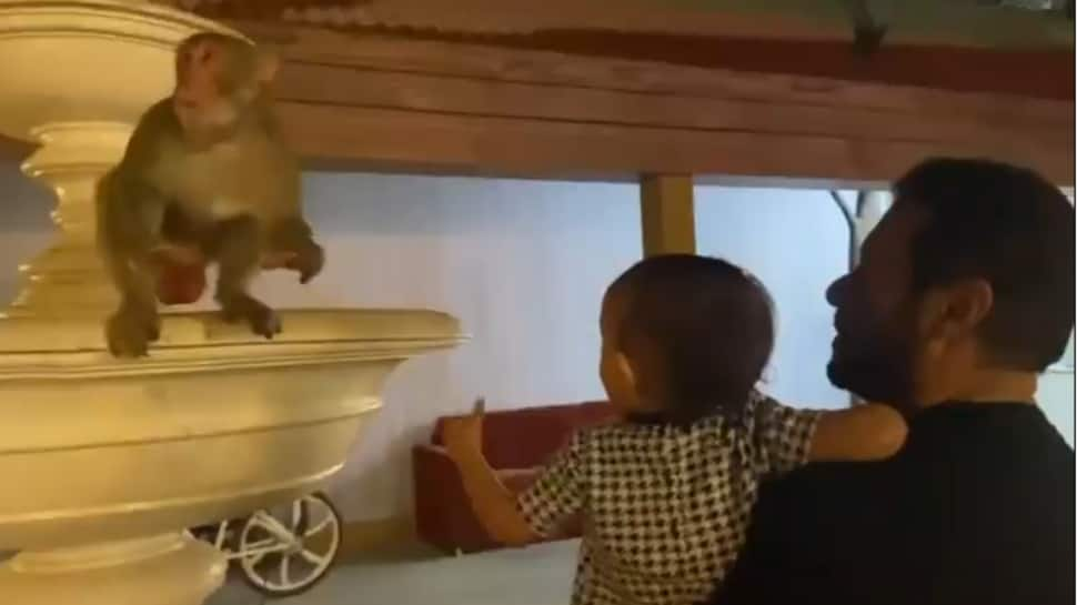 Salman Khan and his little niece Ayat feed bananas to monkeys - Watch adorable viral video!