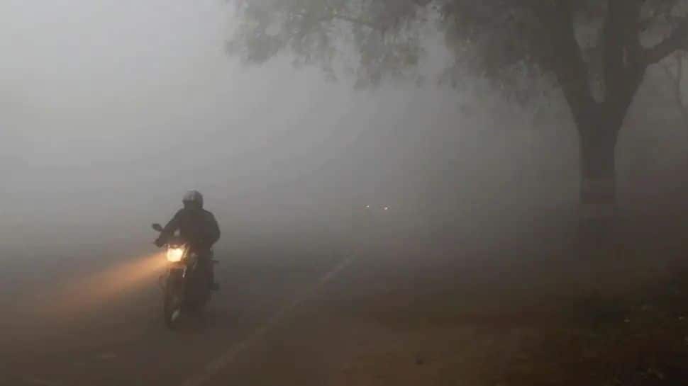 Polusi Delhi berkurang 18-22% setelah arahan, prediksi CAQM |  Berita India