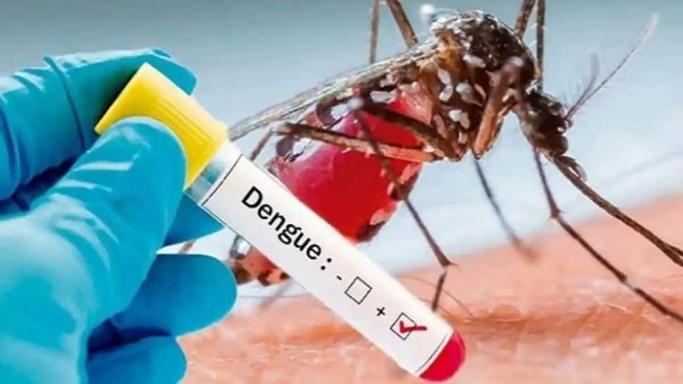 Madhya Pradesh: Indore laporkan 21 kasus baru demam berdarah, jumlah total langgar 1.000 |  Berita India