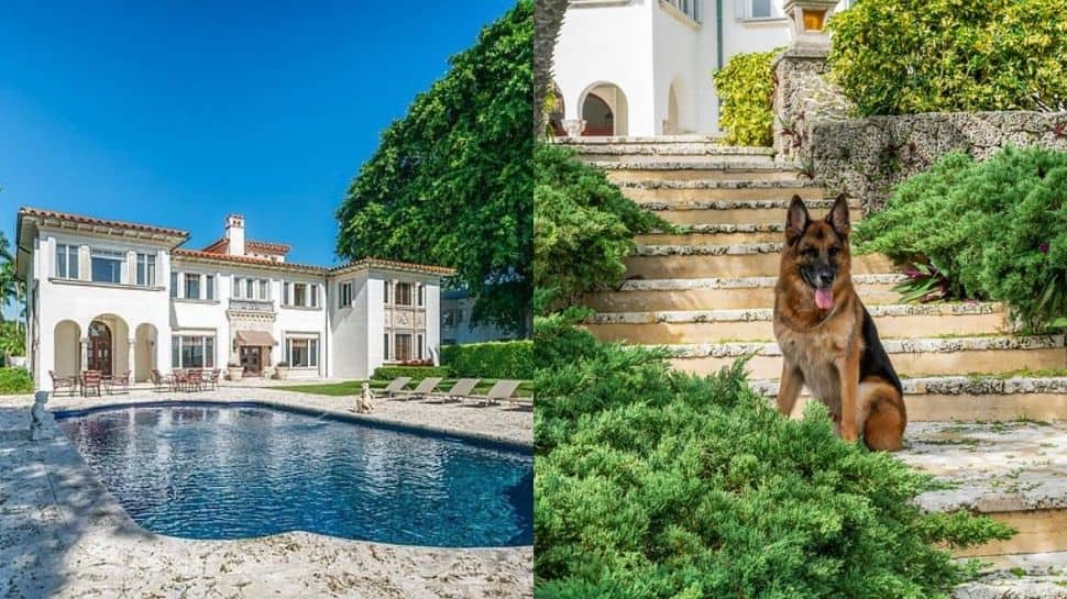 World's RICHEST dog selling his mansion, formerly owned by Madonna, for Rs 238 crore!