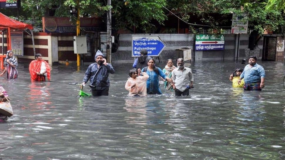 Banjir, genangan air, dan kelangkaan air menjadi siklus penderitaan penduduk Chennai |  Berita India