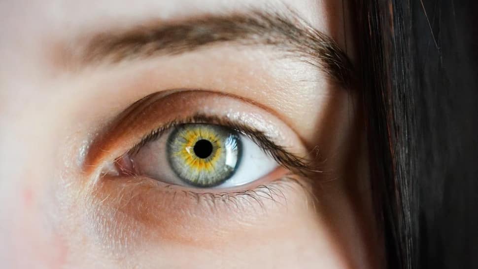 Solusi untuk mengurangi ketegangan mata saat bekerja dari rumah |  Berita Kesehatan