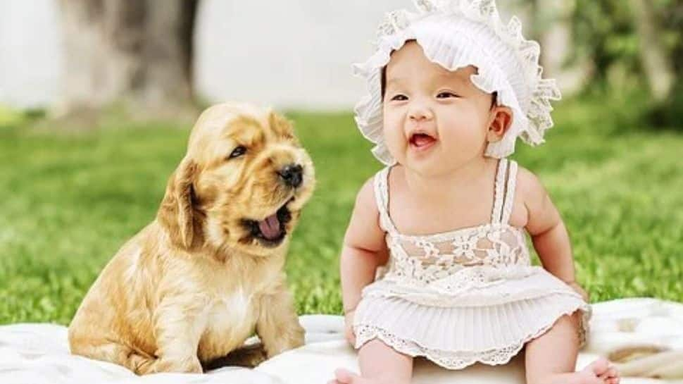 This dog teaching a baby to crawl is the cutest thing on internet today, Watch