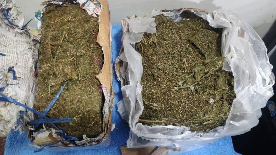 NCB seizes 111 kg poppy straw, other drugs in Gujarat’s Nanded